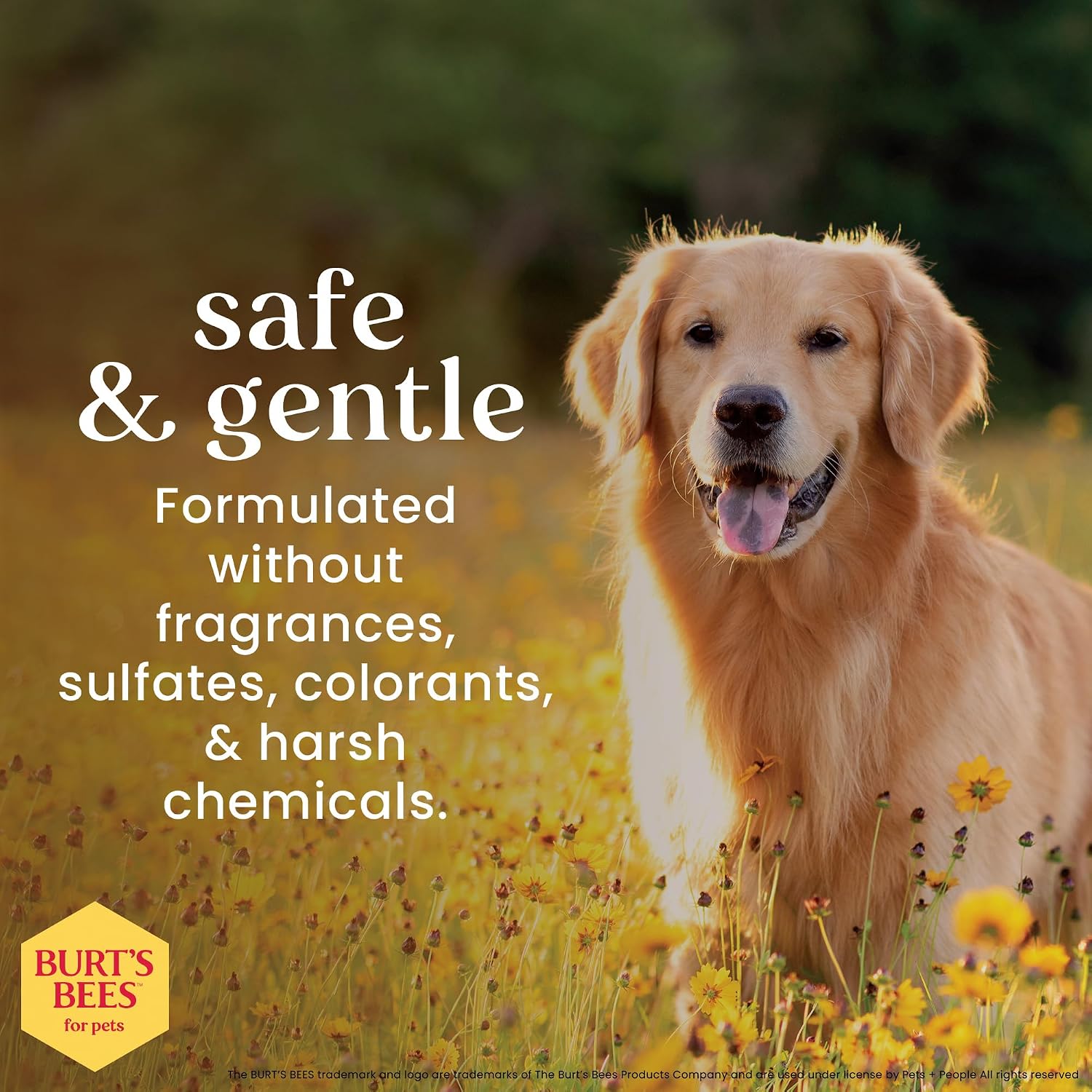 Burts Bees for Pets Honey Multipurpose Dog Grooming Wipes, 50 Count, 3-Pack | Honey Formula, Hypoallergenic Spot-Cleaning, Ph Balanced, Paws Face and Butt