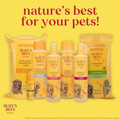 Burts Bees for Pets Honey Multipurpose Dog Grooming Wipes, 50 Count, 3-Pack | Honey Formula, Hypoallergenic Spot-Cleaning, Ph Balanced, Paws Face and Butt