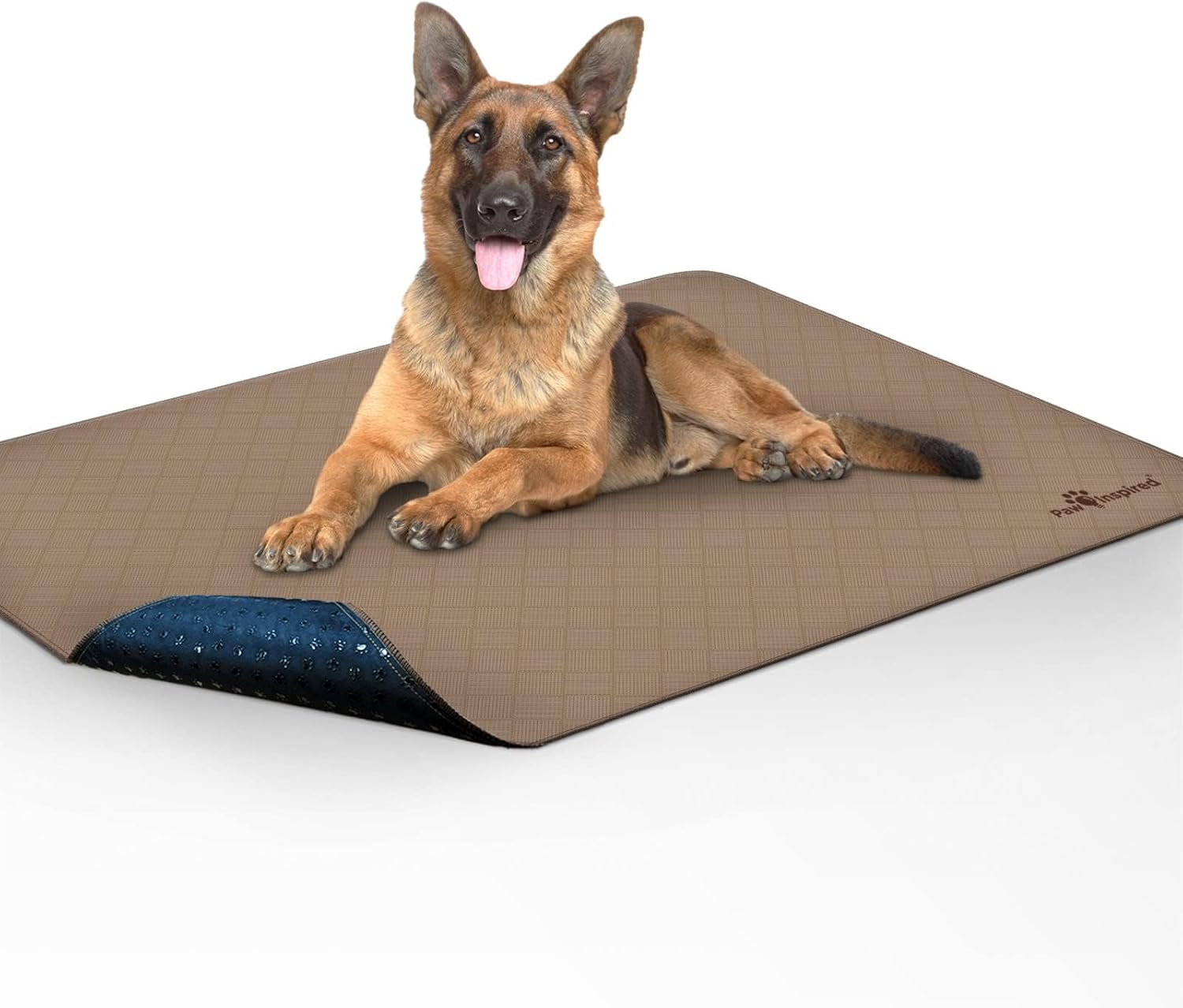 Washable Pee Pads for Dogs, 48X60 Inch Large Size | Leakproof, Non-Slip, Reusable Puppy Pads for Potty Training, Whelping, Waterproof Pet Mat