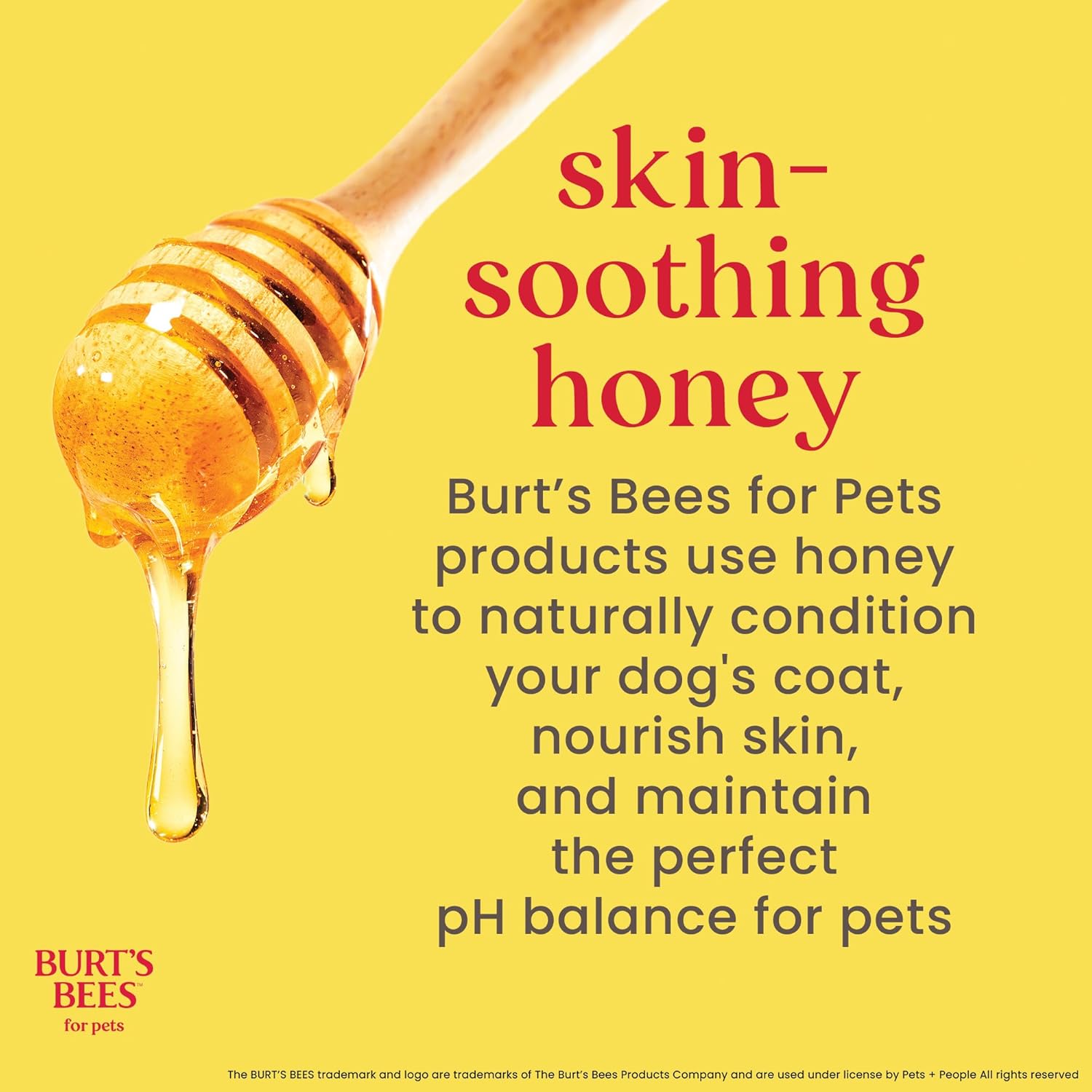 Burts Bees for Pets Honey Multipurpose Dog Grooming Wipes, 50 Count, 3-Pack | Honey Formula, Hypoallergenic Spot-Cleaning, Ph Balanced, Paws Face and Butt