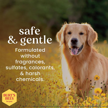Burts Bees for Pets Honey Multipurpose Dog Grooming Wipes, 50 Count, 3-Pack | Honey Formula, Hypoallergenic Spot-Cleaning, Ph Balanced, Paws Face and Butt