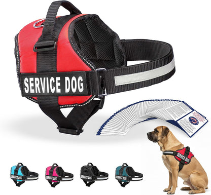 Service Dog Vest Harness, XL 30-39, Red | Durable & Adjustable Vest for Dog, Reflective Straps, Removable Patches, 50 ADA Cards, Handle & D-Ring, Travel and Daily Use